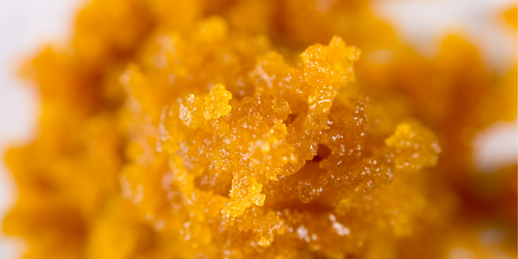 Terpene Wonderland Discovering the Allure of Live Resin Carts