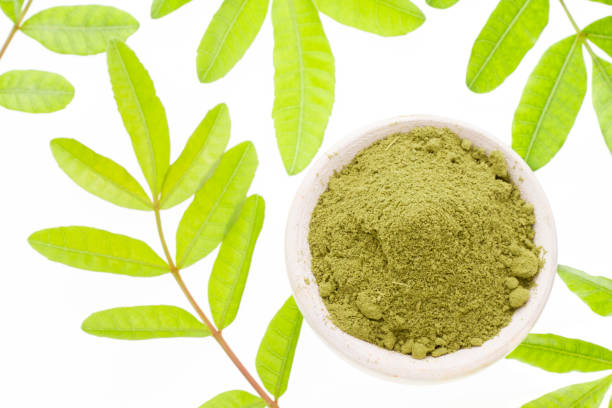 Best Kratom Vendors of 2024 A Detailed Comparison of Top Suppliers